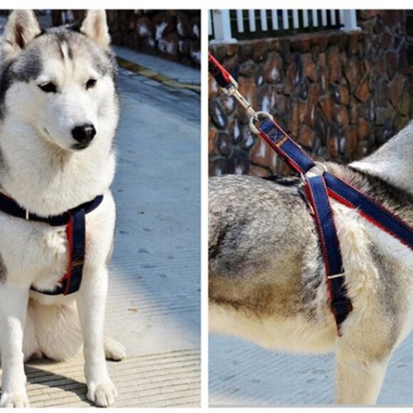 Black Vest Harness Leash Collar Set No Pull Adjustable for Dog - Picture 5 of 5